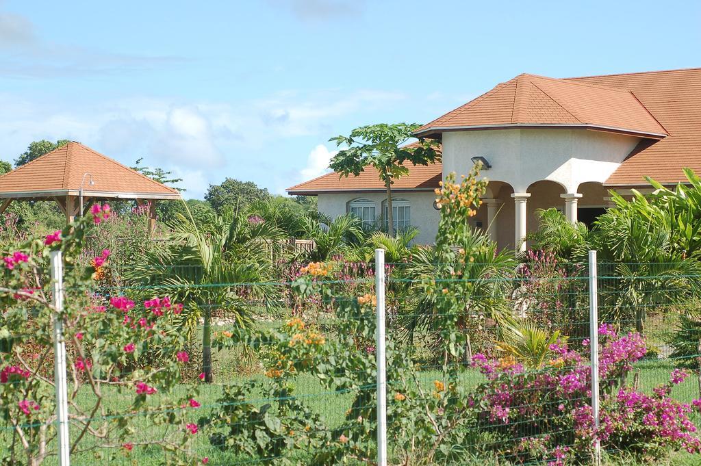 La Villa Emeraude 04 Etoiles Saint-Francois  Exterior foto